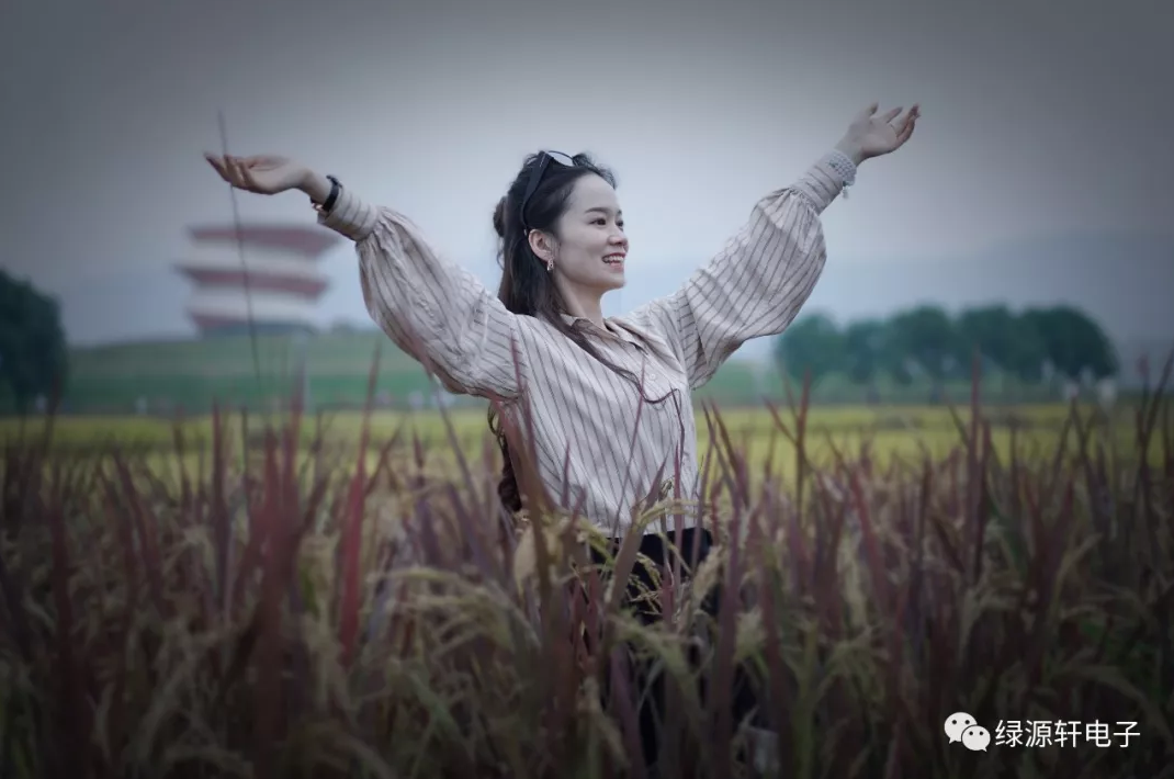 1-200QQ4204G21.png